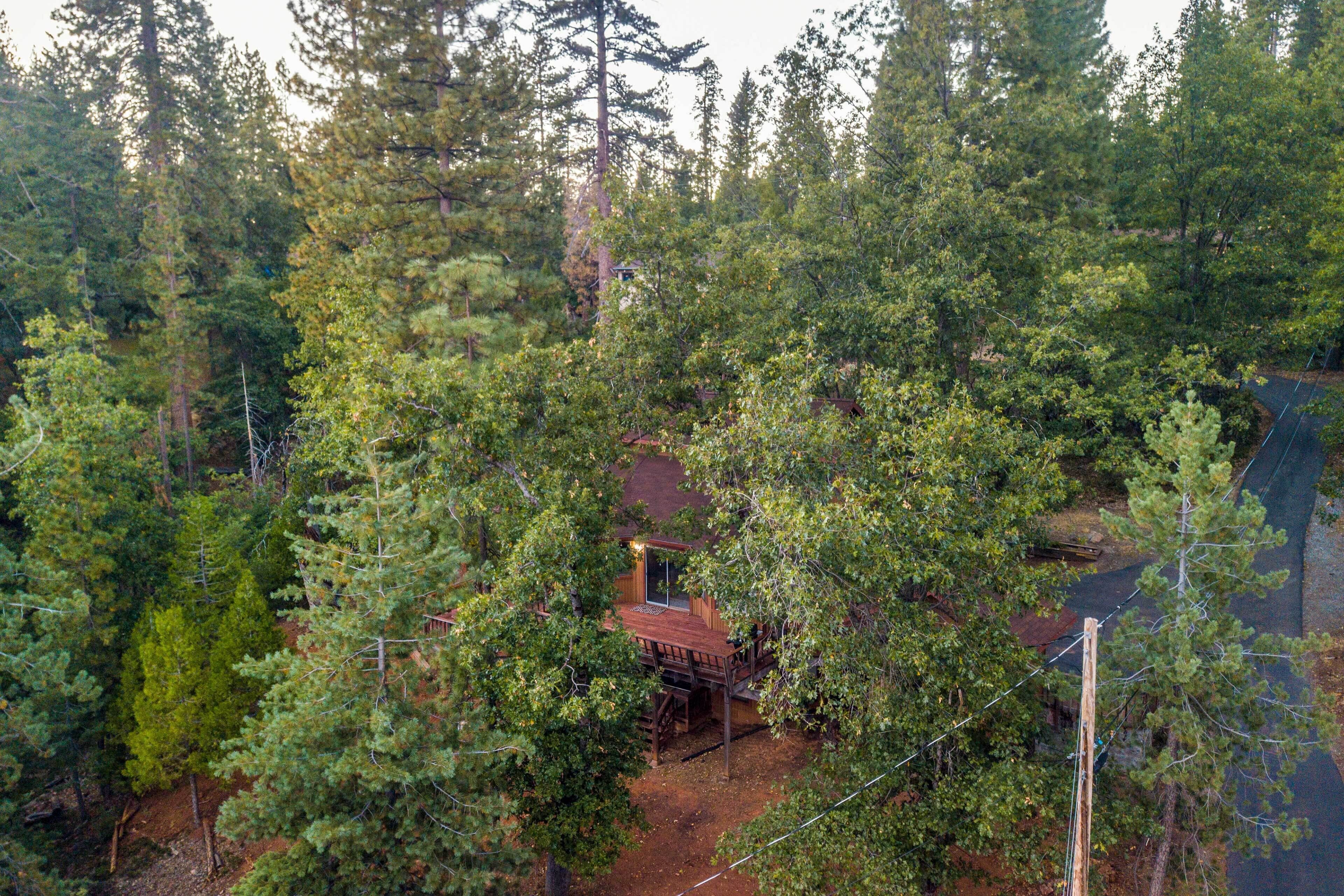 A cabin surrounded by dense forest, with a deck and a small porch area.