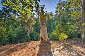 하우스 (3 Bedrooms) | 내부