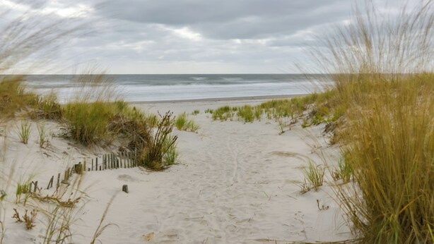A sandy beach path leading to the ocean with grassy dunes on either side. - Cozy Ventnor Getaway: Walk to Public Beach! (Ventnor City)