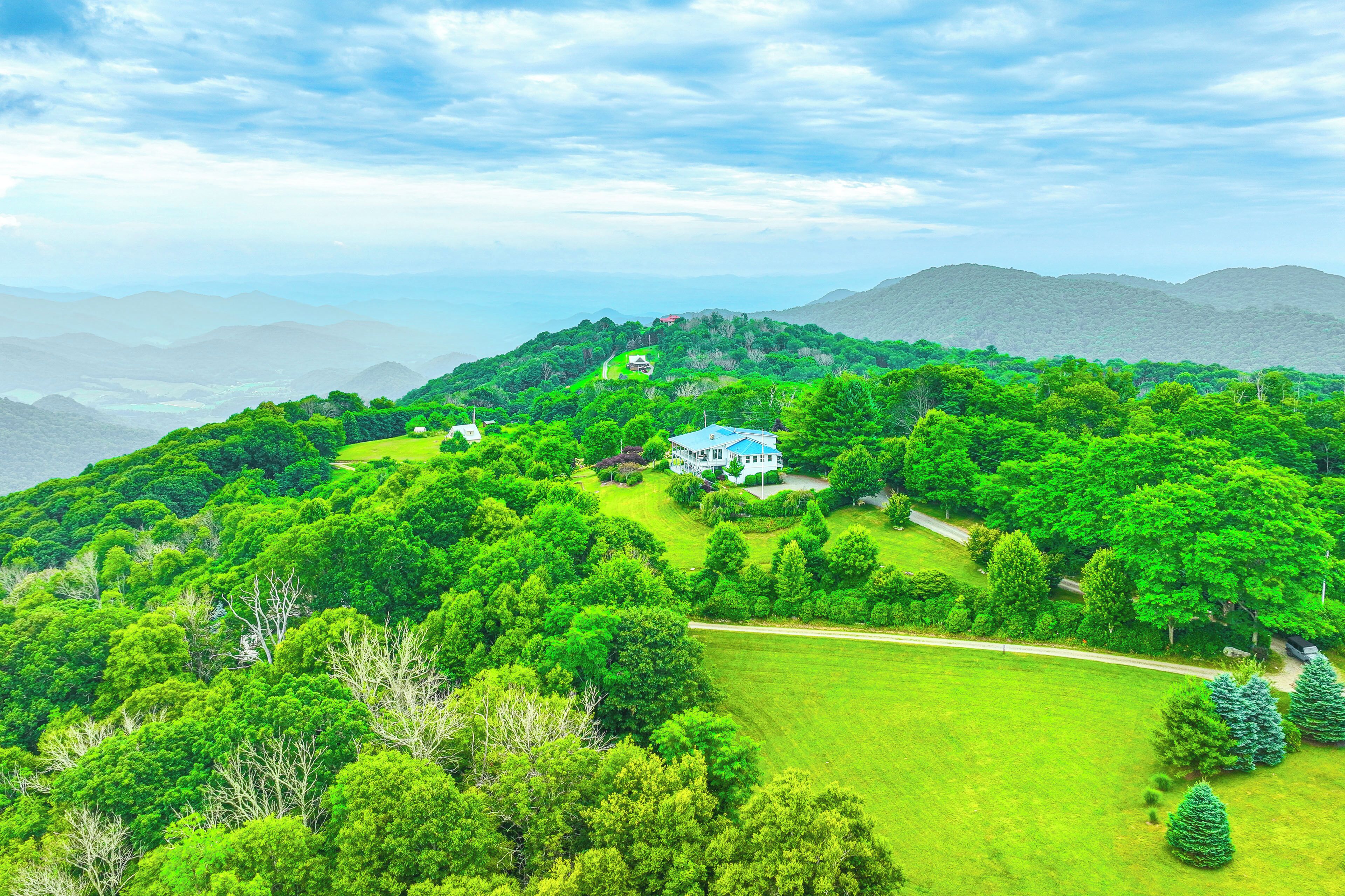 A lush green landscape with a white house surrounded by dense trees and a clear sky.