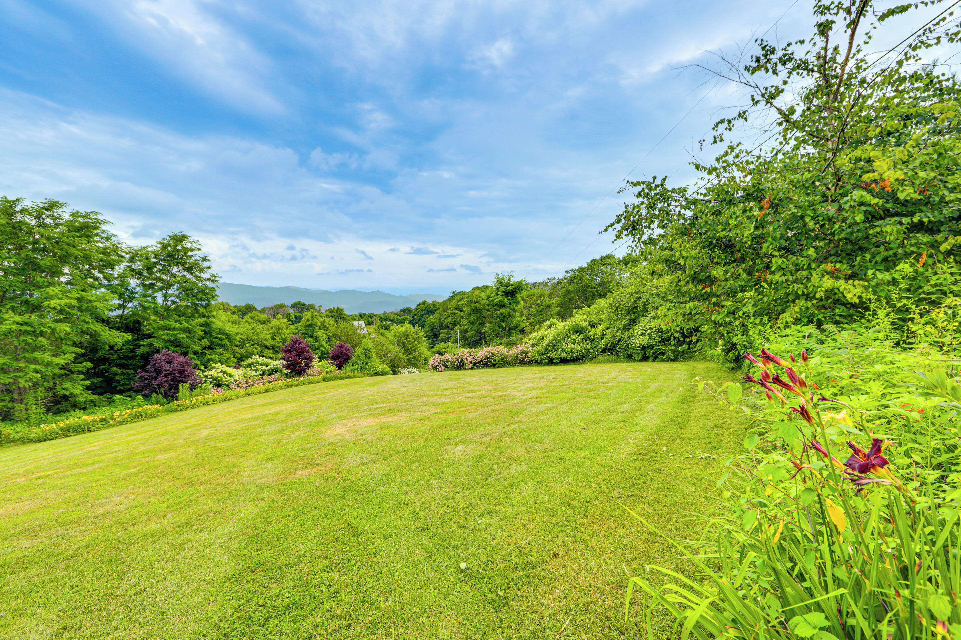 A well-maintained lawn with a variety of shrubs and flowering plants.