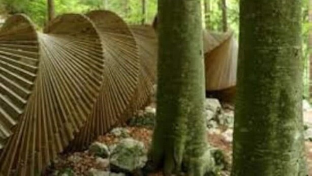 Een bos met een bijzondere constructie van houten latten.