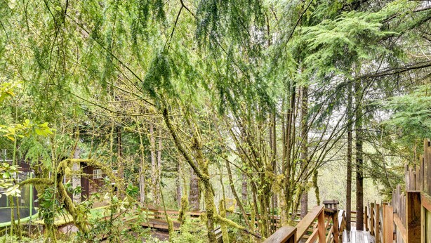 Property grounds - Pet-friendly Sandy Cabin w/ Spacious Fire Pit! (Sandy)