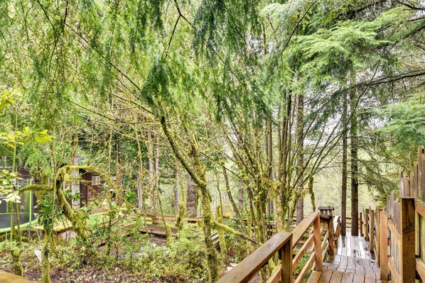 Property grounds - Pet-friendly Sandy Cabin w/ Spacious Fire Pit! (Sandy)