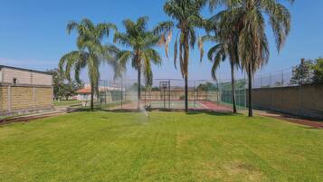 A tennis court with a fence, palm trees, and a building in the background.
