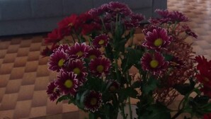 Imagen sin descripción, 3 de 11, botón