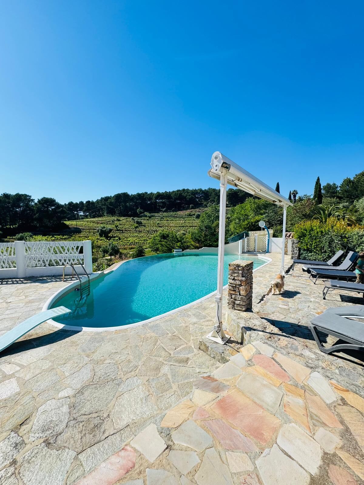 A swimming pool with a stone deck, lounge chairs, and a camera on a pole.