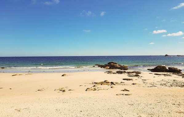 Vlak bij het strand, vissen