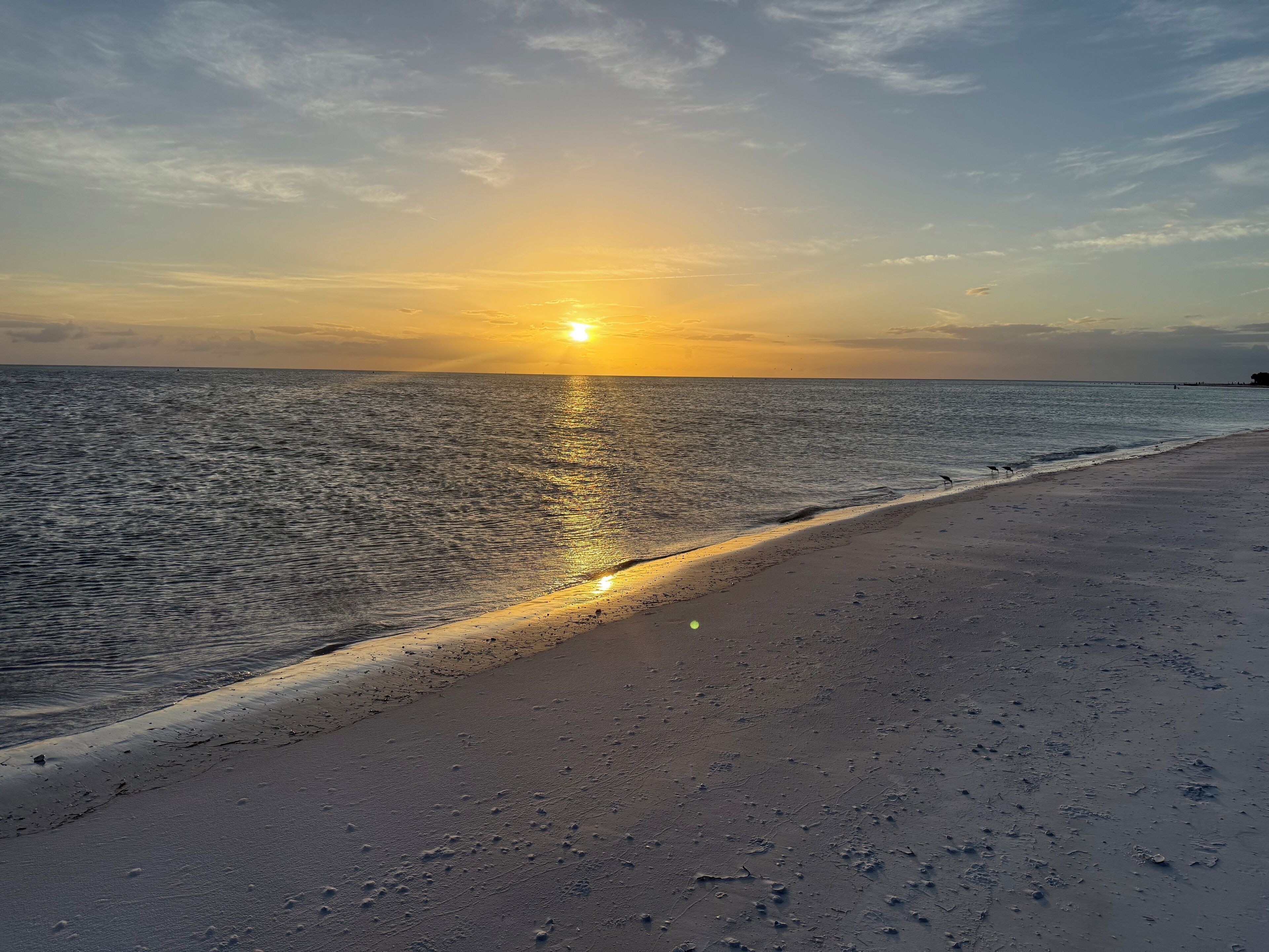 Sun loungers, beach towels
