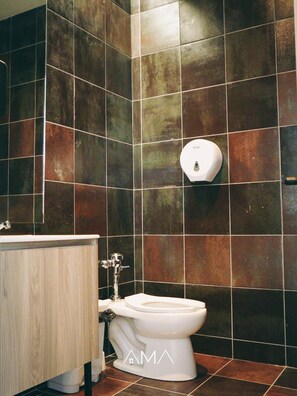 Douche, séchoir à cheveux, serviettes fournies, savon