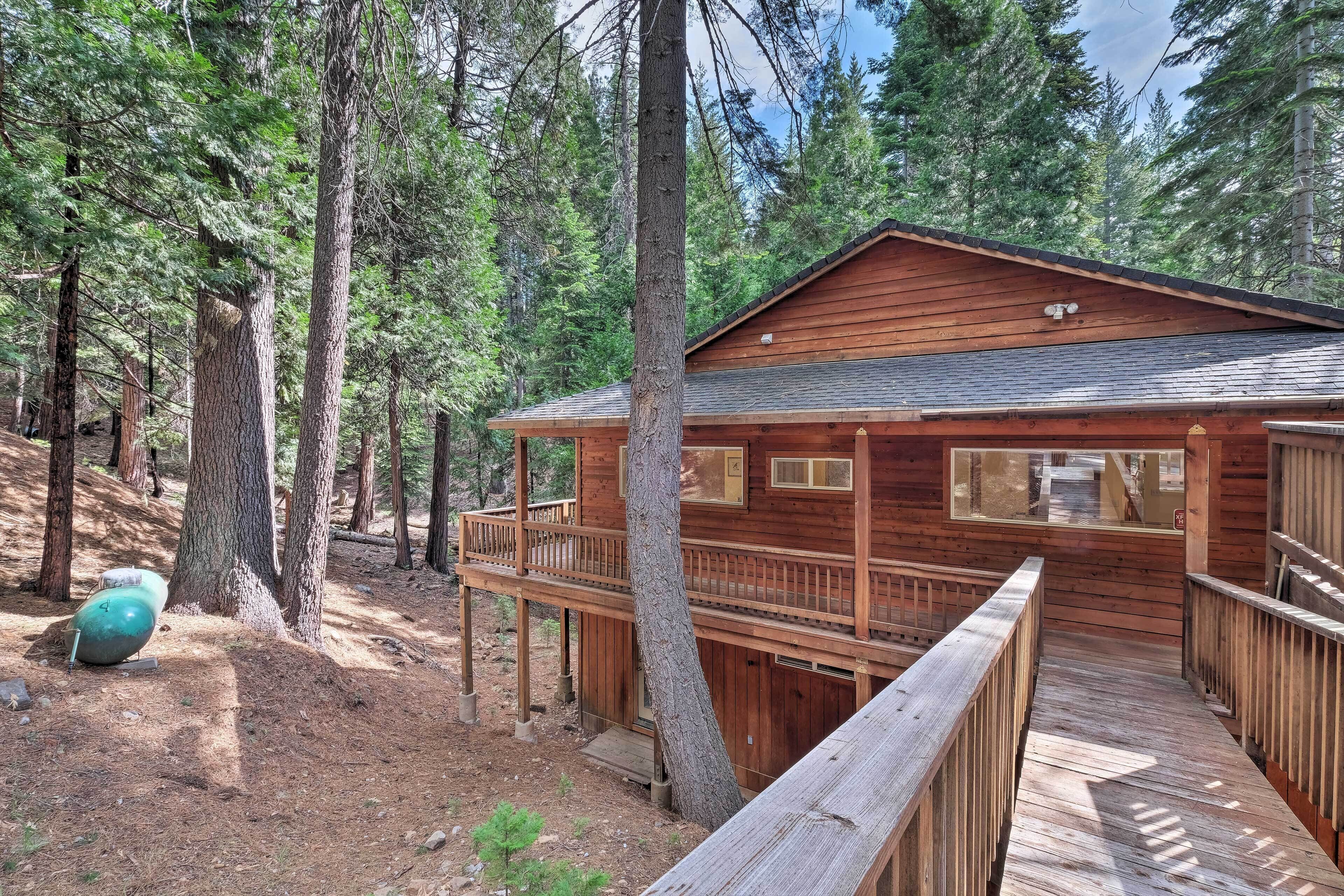 A wooden cabin with a deck and a small porch, surrounded by tall pine trees.