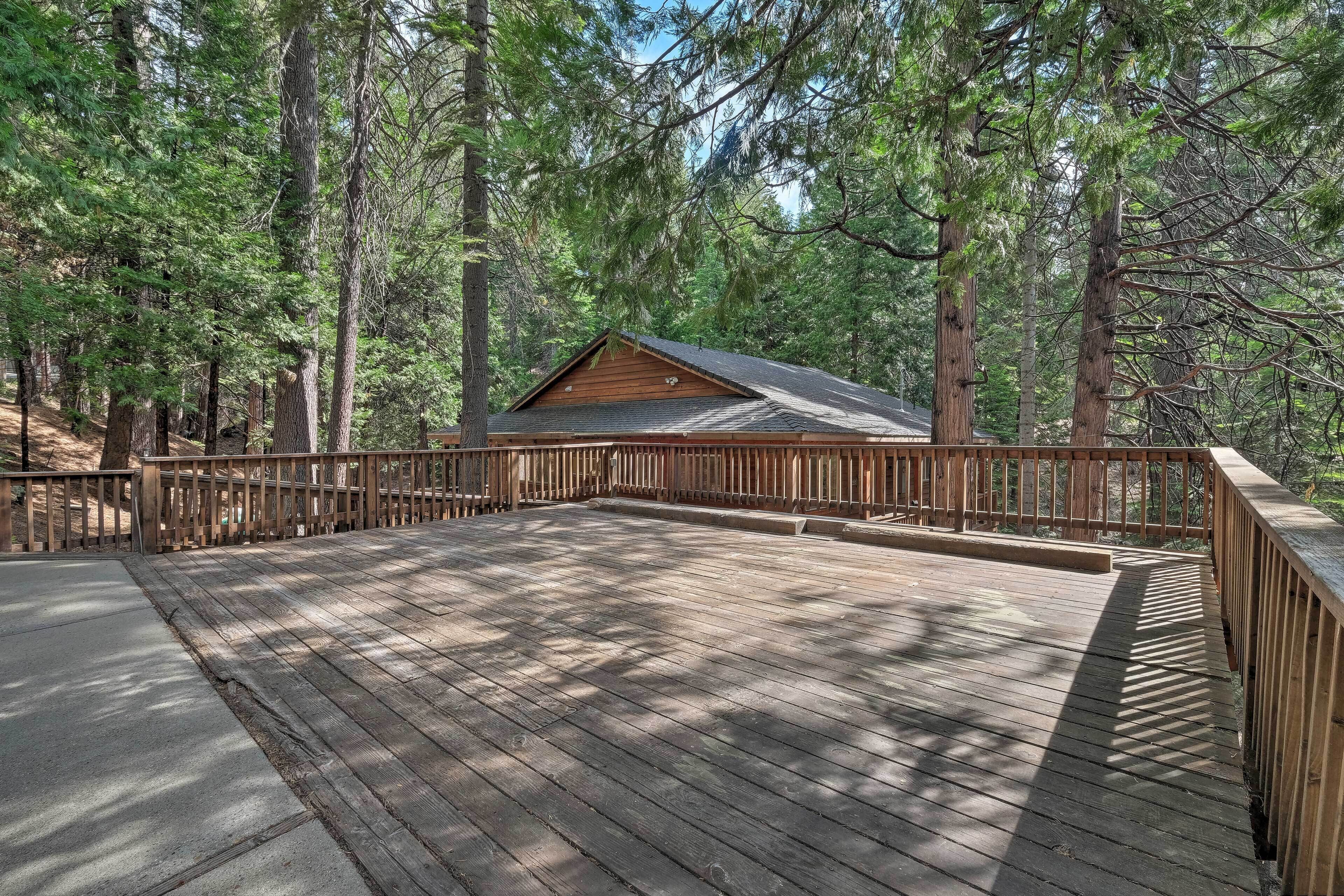 A wooden deck with a metal railing, surrounded by tall pine trees.