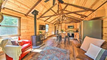 TV, fireplace, books