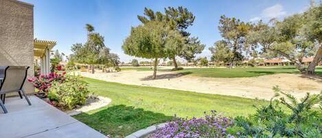 A residential property with a patio, a lawn, and a variety of trees and shrubs.