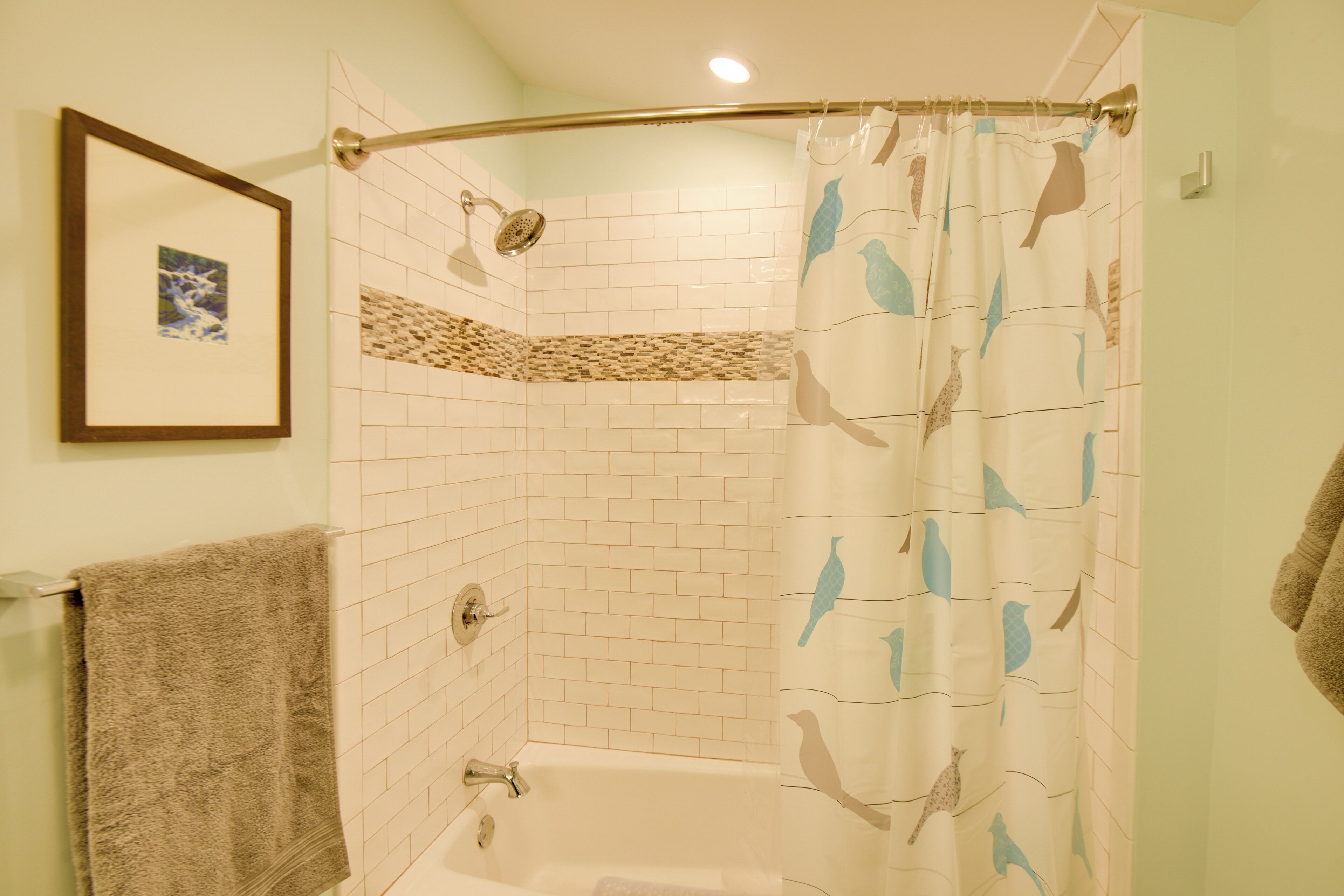 A shower with a bird-patterned curtain, a framed picture on the wall, and a towel rack with a towel.
