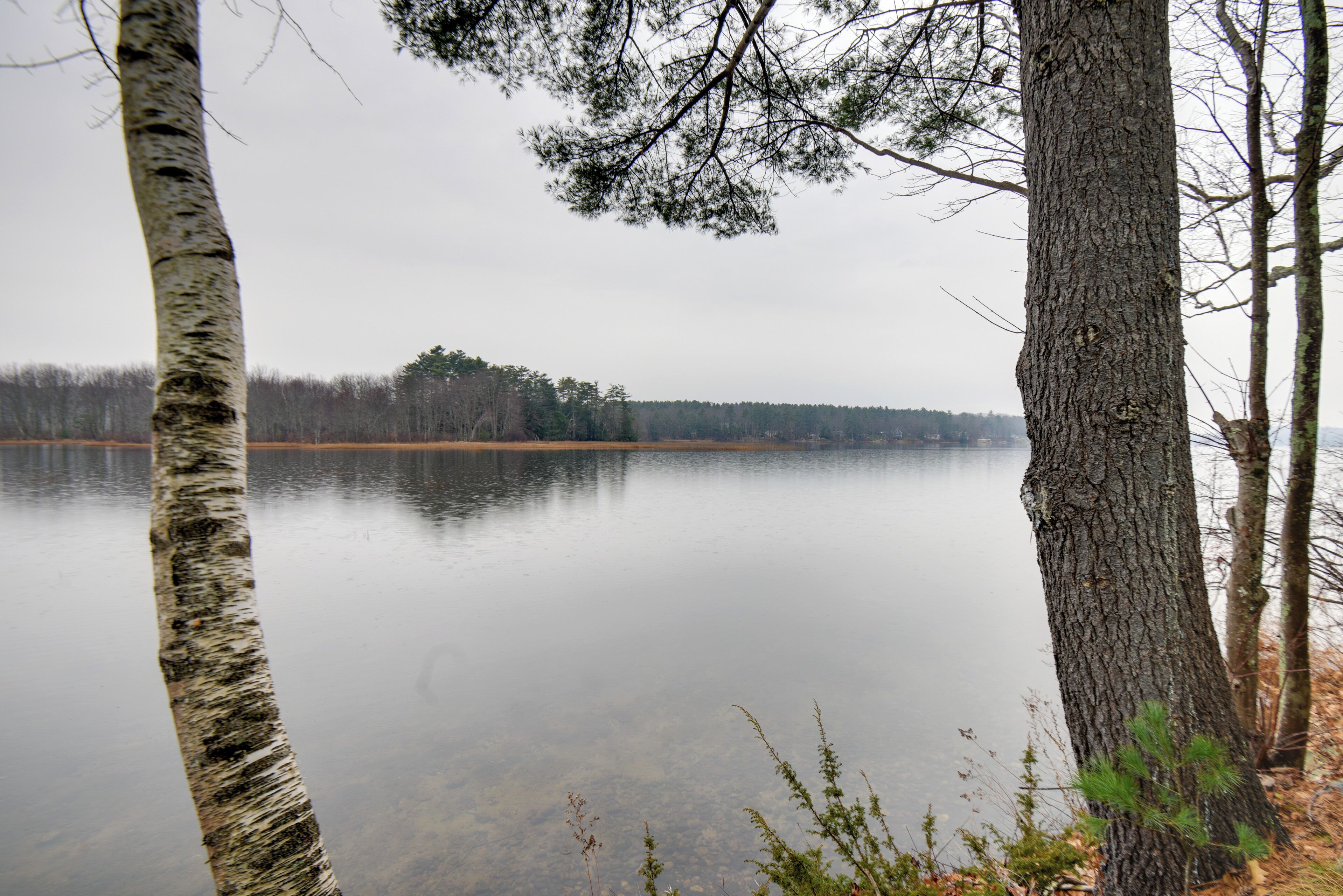 A calm lake surrounded by trees.