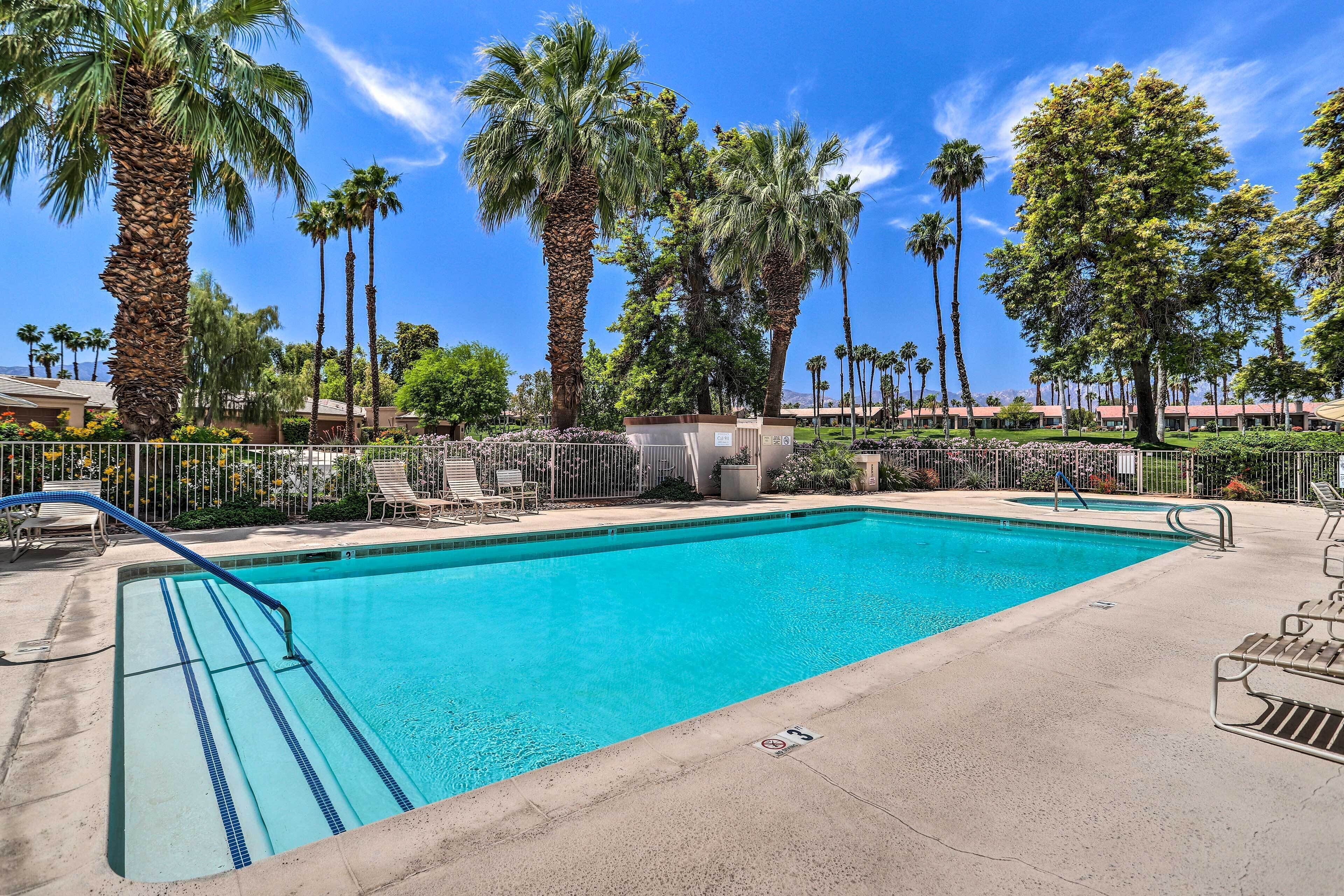 A swimming pool with a clear blue water, surrounded by palm trees and a fenced area with lounge chairs.