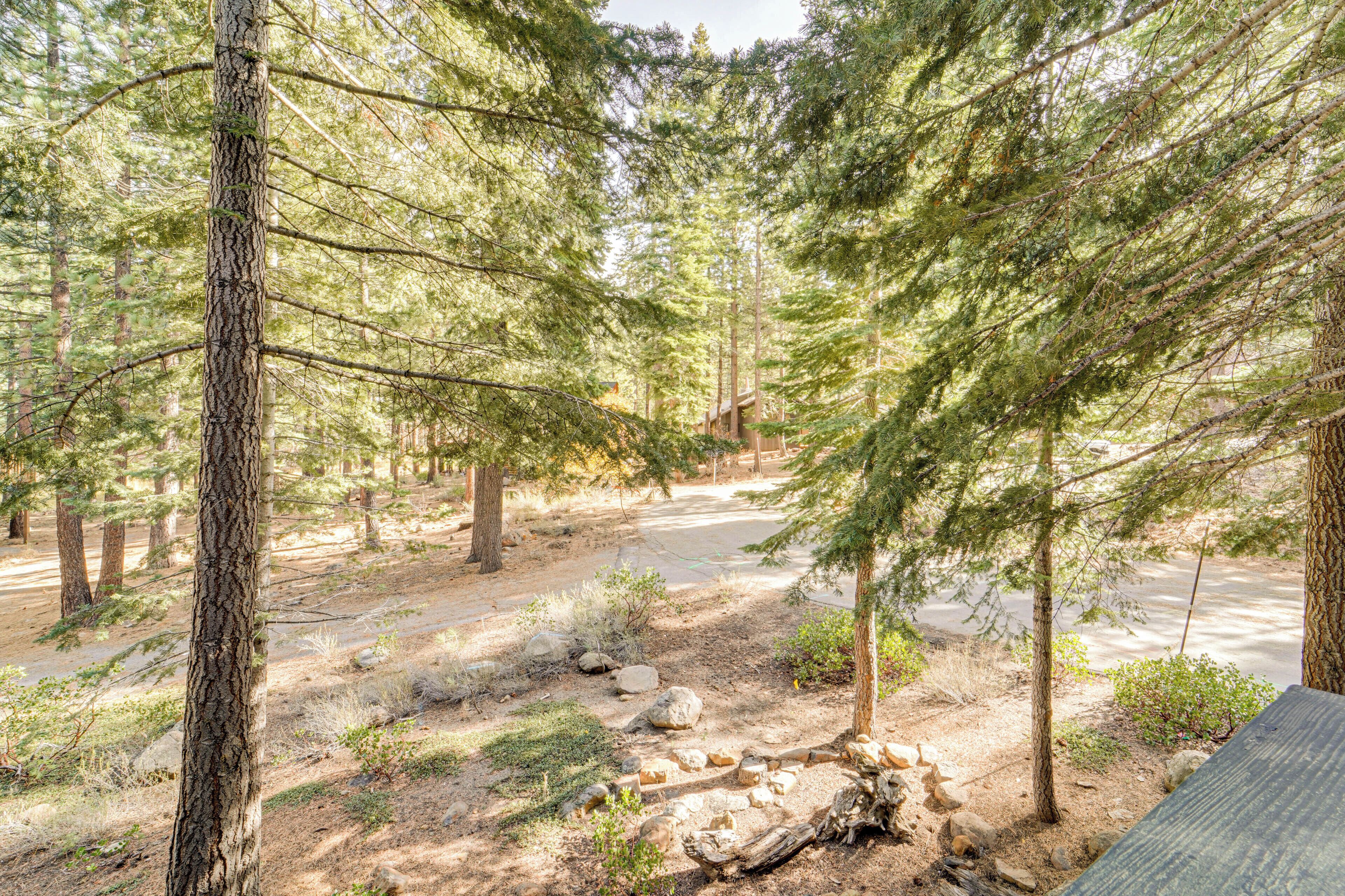 A forested area with a dirt path, a wooden structure, and a clear sky.