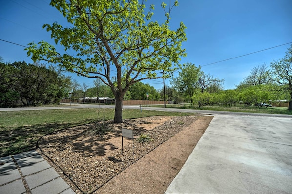 A tree-lined sidewalk with a paved path and a concrete area.