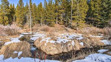 A natural landscape with a stream, snow-covered rocks, and a forest in the background.