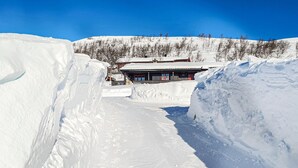 Eksteriør