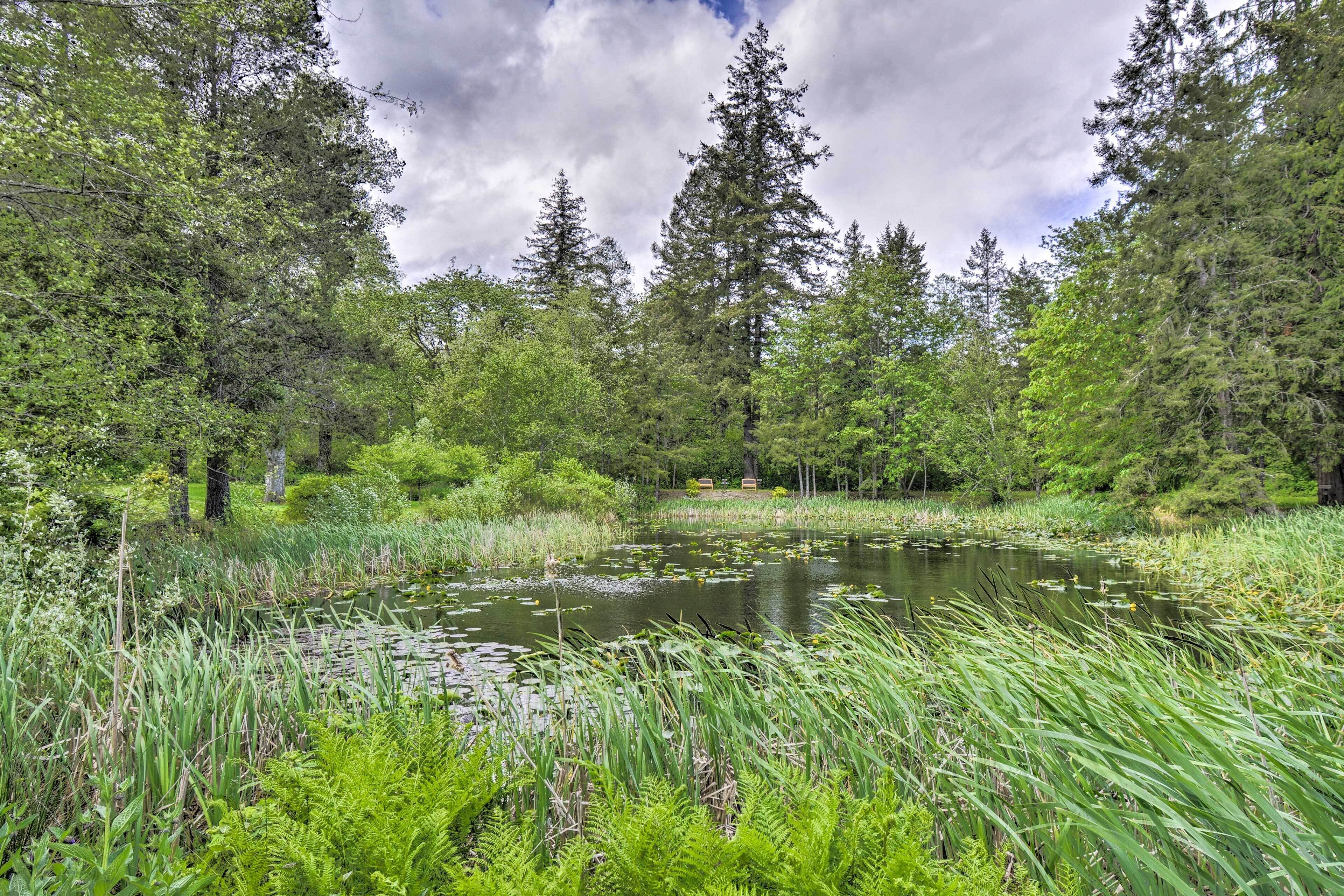 A natural landscape with a pond surrounded by dense forest and tall trees.