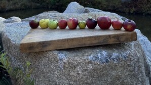 Natural pool - The Hummingbird Center (Rumney)