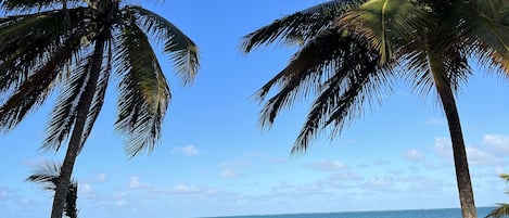 En la playa, camastros y toallas de playa