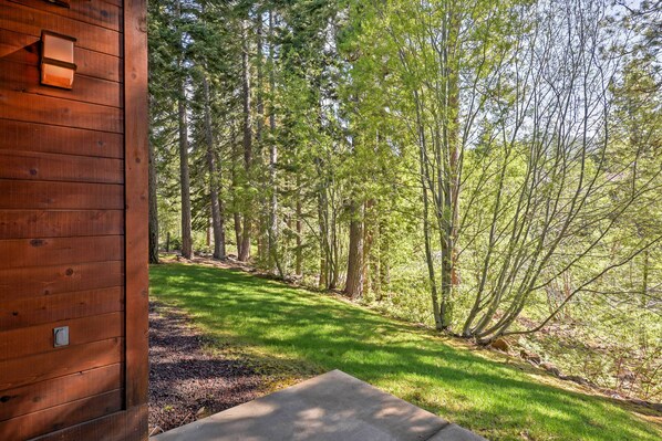A wooden cabin with a concrete patio, surrounded by a forested area. - Forest-view Gem 2 Mi to Diamond Peak Ski Resort! (Incline Village)