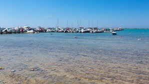 A marina with boats docked at piers, clear shallow water, and a calm sea.