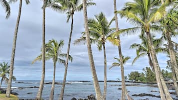 Nhà (2 Bedrooms) | Nội thất