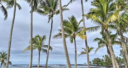 Hilo Oasis - 32 Mi to Volcanoes National Park!