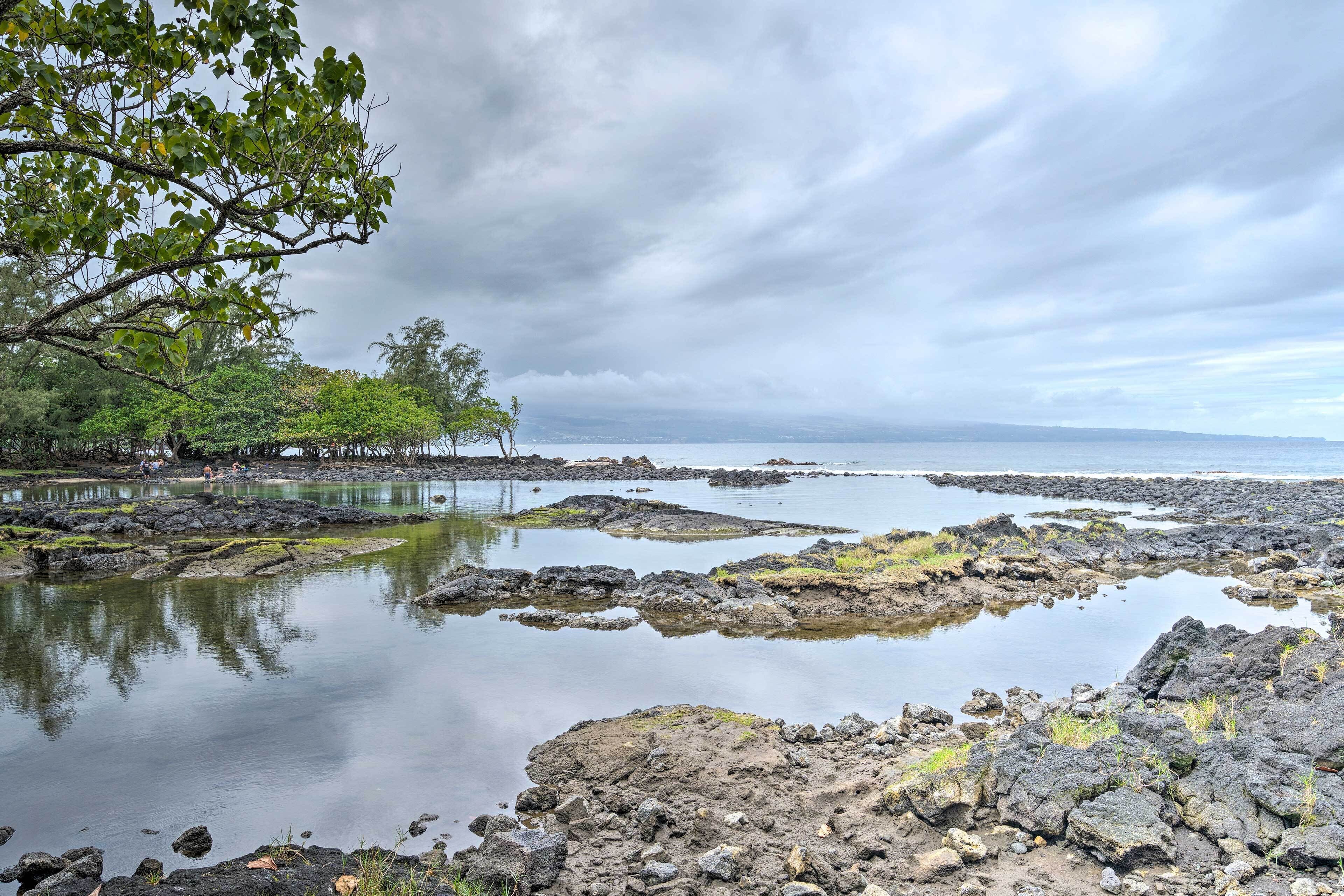 A rocky shoreline with calm water, trees, and a distant view of the ocean.