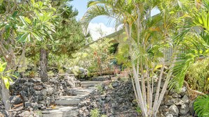A tropical garden with a stone pathway leading to a building.