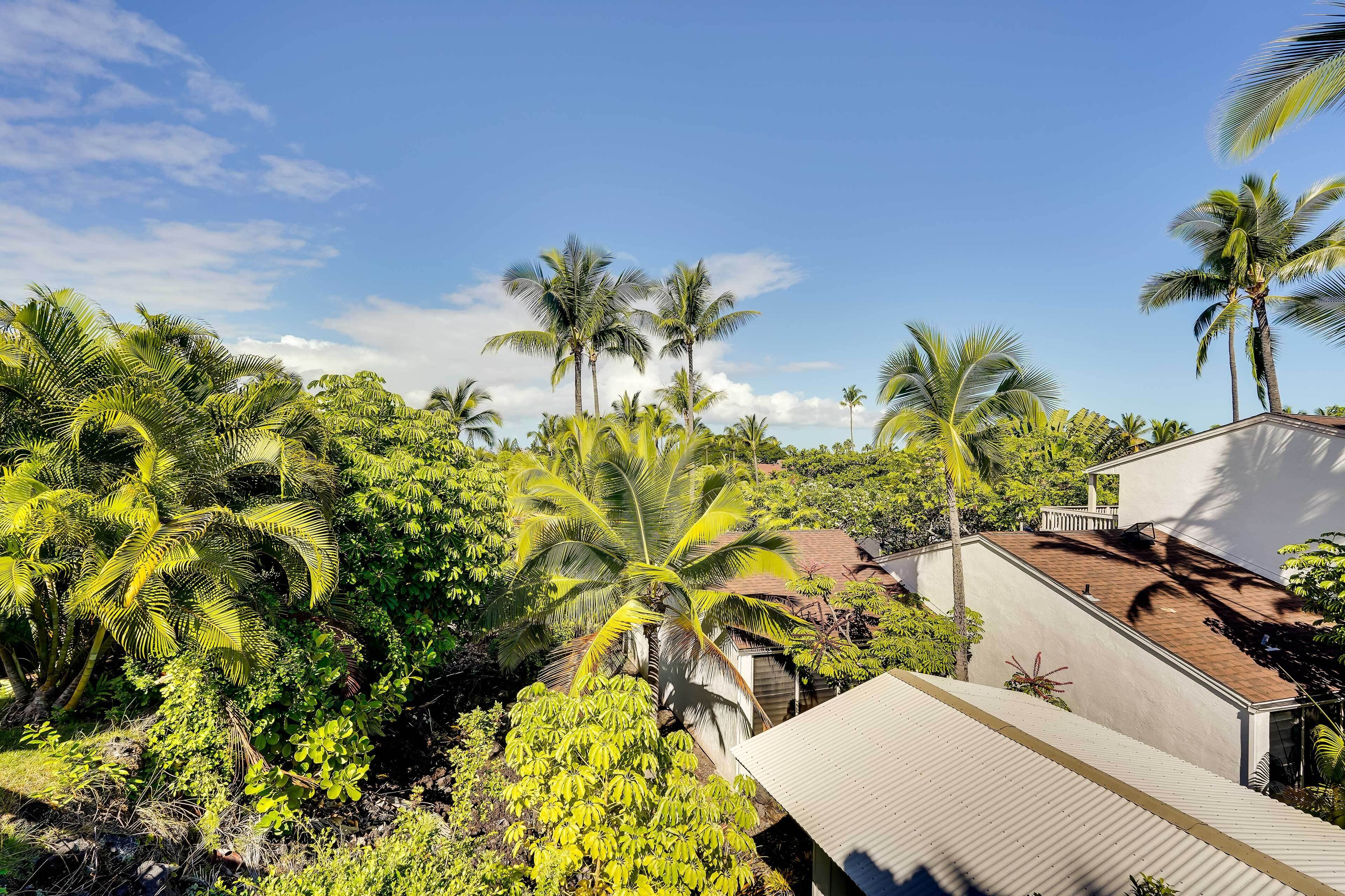 A residential area with multiple palm trees, a white building with a sloped roof, and a small structure with a red roof.
