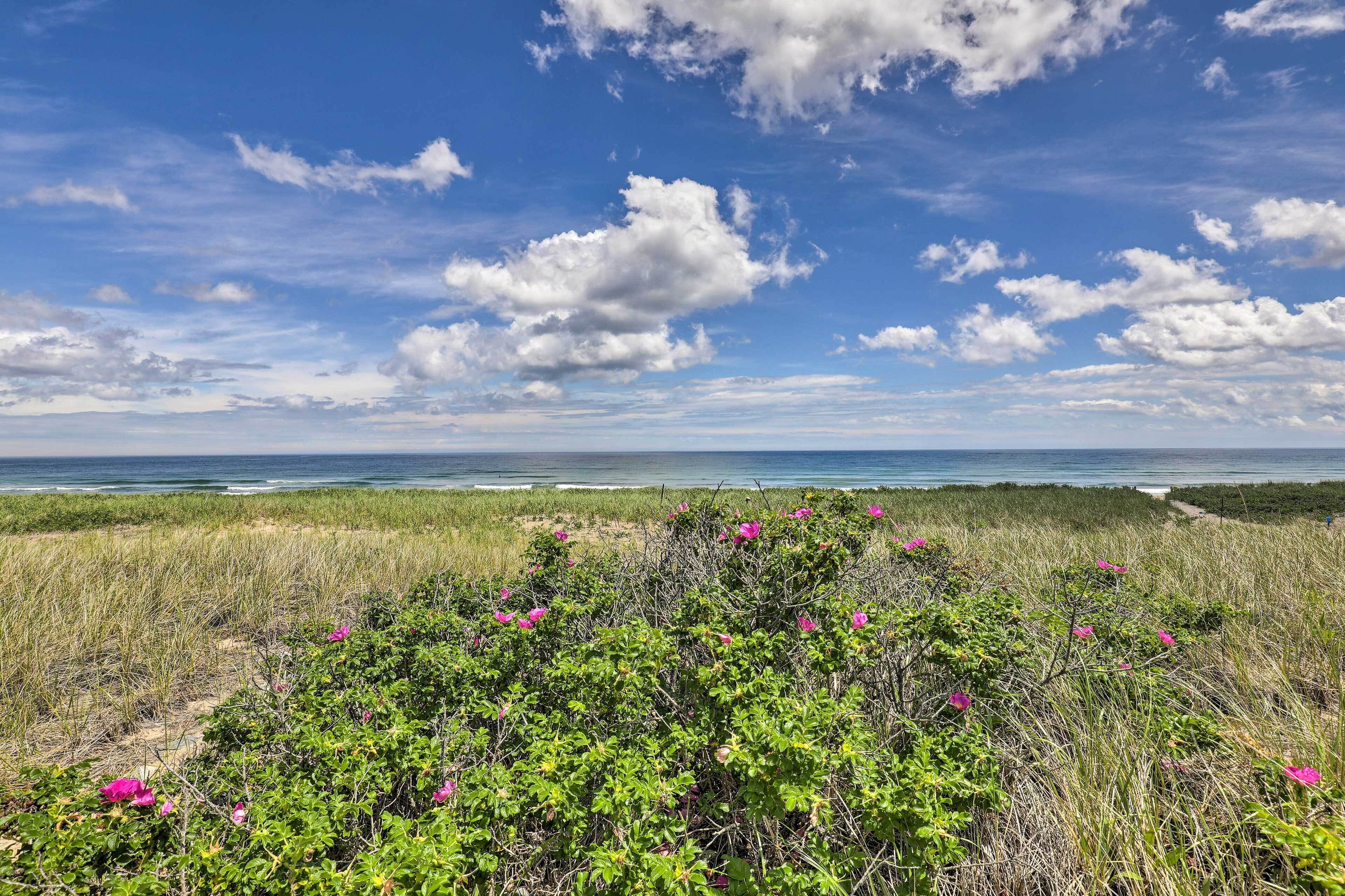 Paisagem costeira com céu claro, praia e dunas gramadas com flores rosa.