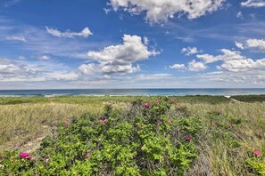 Un paysage côtier avec un ciel dégagé, une plage et des dunes herbeuses parsemées de fleurs roses.