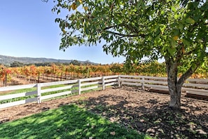 A vineyard with rows of grapevines, a white fence, and a tree in the foreground.