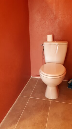 Shower, hair dryer, towels, toilet paper
