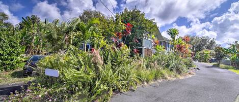 Íbúð (1 Bedroom) | Að innan