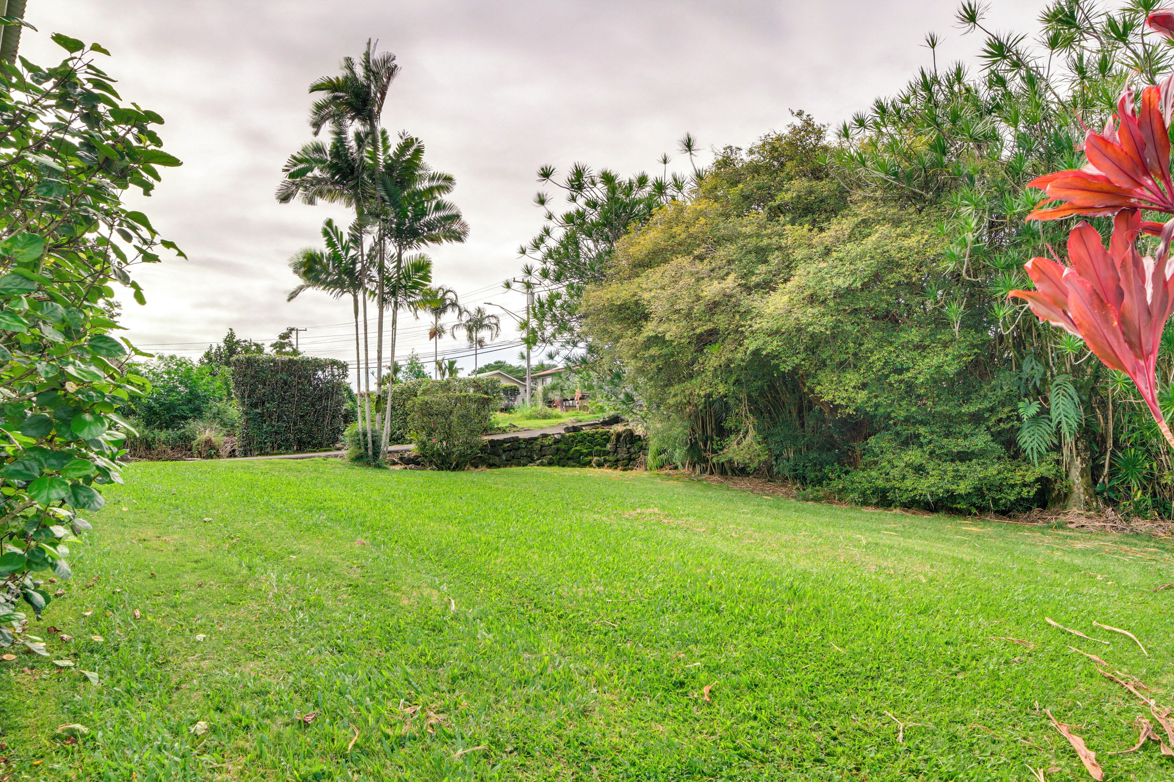 A grassy outdoor area with various trees and shrubs.