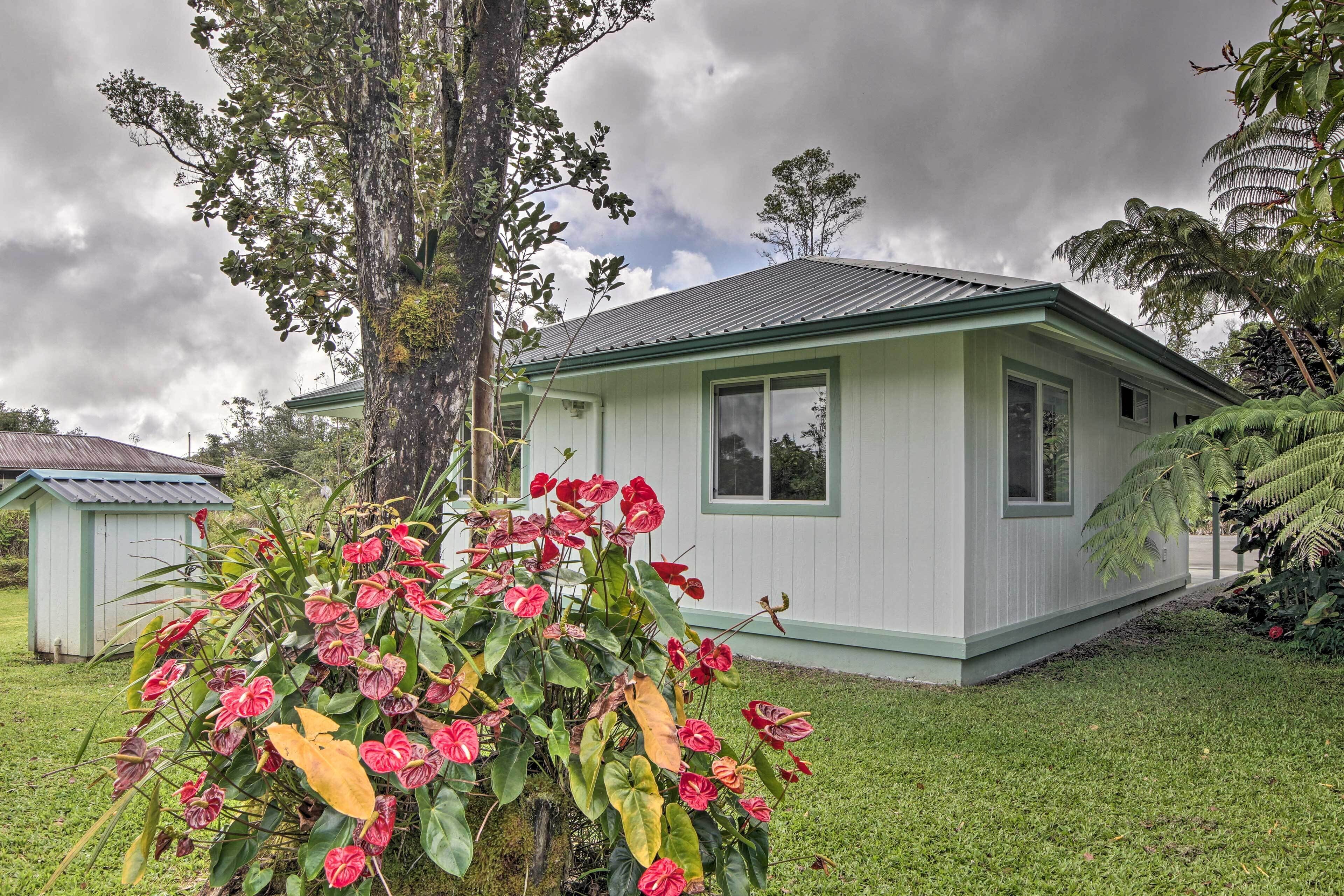 A small, single-story house with a green roof and white exterior walls, surrounded by lush greenery and a large tree.