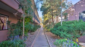 Apartment (1 Bedroom) | Interior