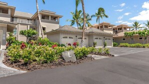 A residential area with multiple two-story houses, each with a garage, surrounded by lush landscaping and palm trees.