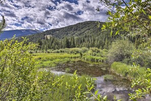 A natural landscape with a mountain, a lake, and dense forest.