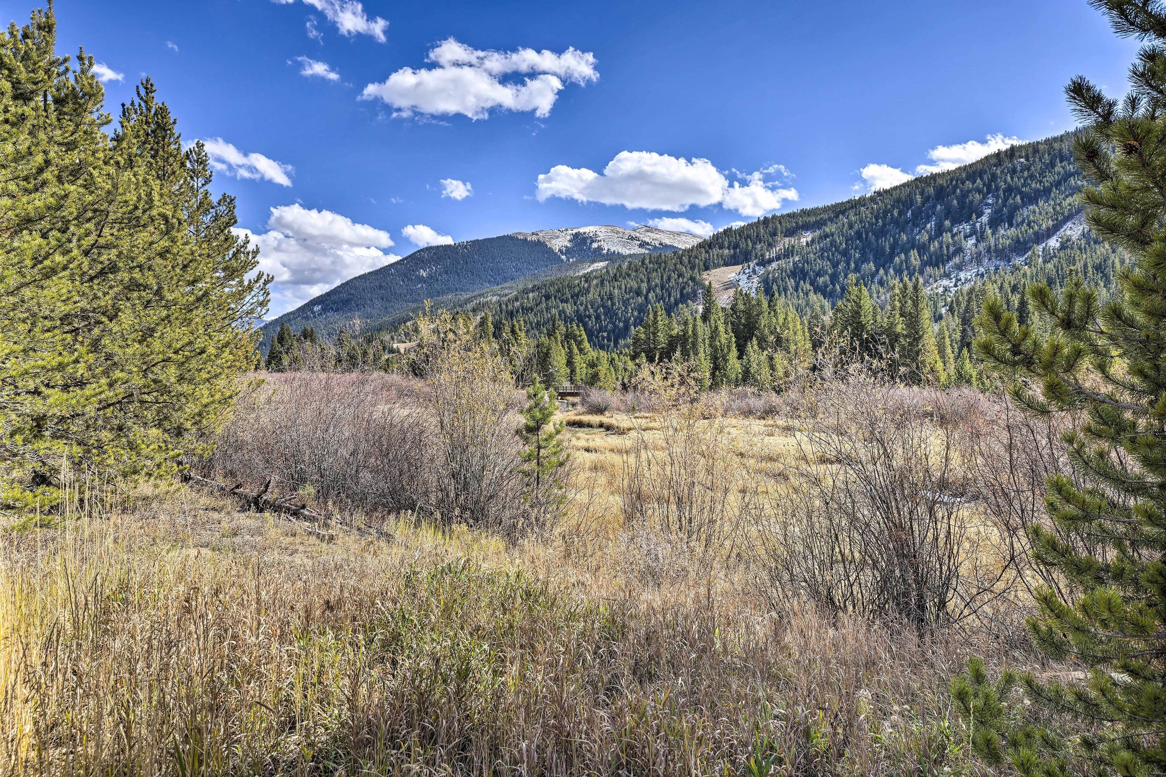 A mountainous landscape with dense forests and a clear sky.