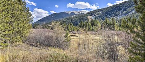 A mountainous landscape with dense forests and a clear sky.
