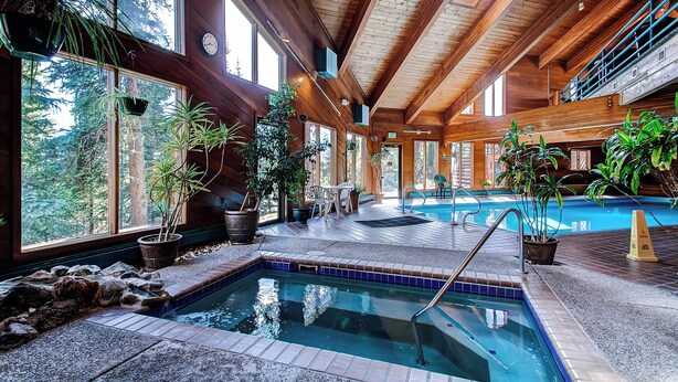 An indoor swimming pool with wooden beams, potted plants, and a view of trees through large windows.