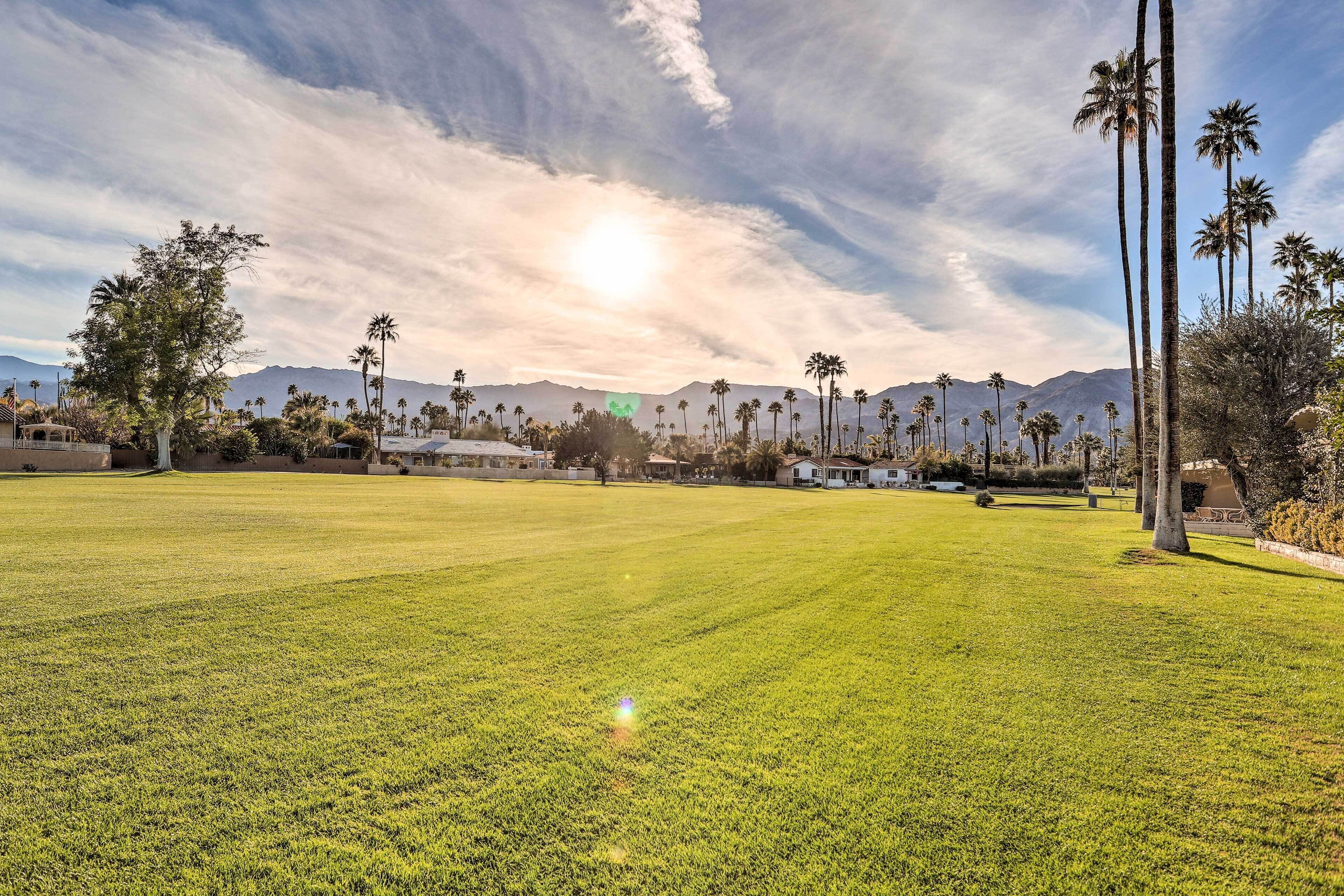 A wide, open grassy field with tall palm trees and mountains in the background.