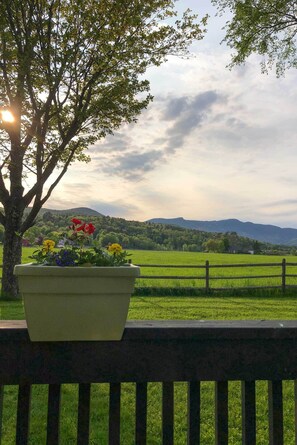 A view of a green field with a wooden fence and a tree with flowers in a planter. - Stowe Vacation Rental w/ Deck & Mountain Views! (Stowe)
